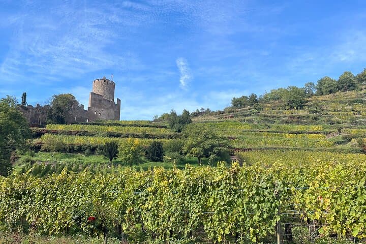 Private Alsace Villages, Colmar & Haut-Koenigsbourg Castle Day Tour photo 3