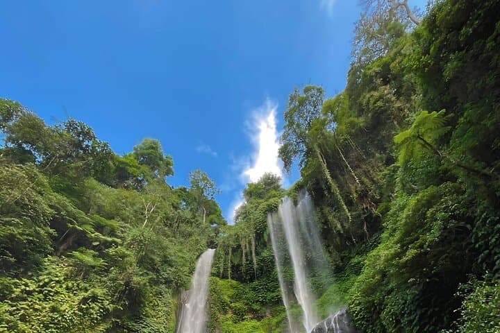 Full-Day Bali Private Car Charter: Sekumpul Waterfall, Jatiluwih Rice Terraces & Ulun Danu Beratan photo 1