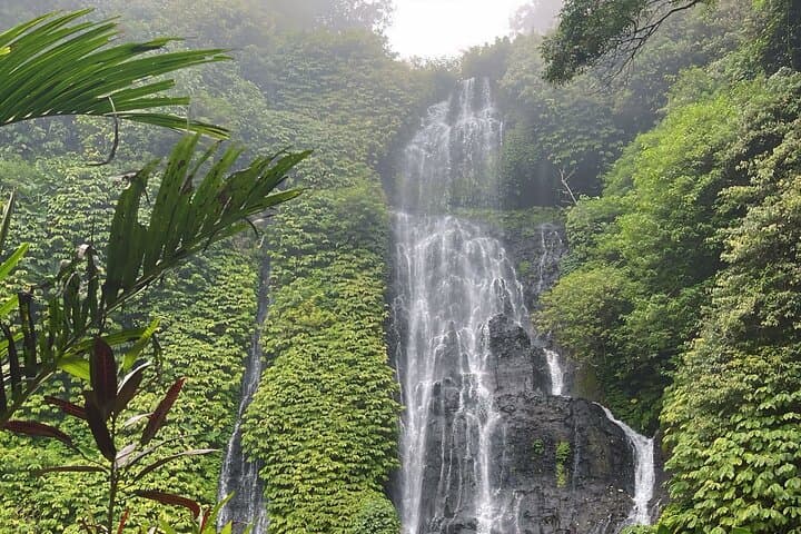 Full-Day Bali Private Car Charter: Sekumpul Waterfall, Jatiluwih Rice Terraces & Ulun Danu Beratan photo 4