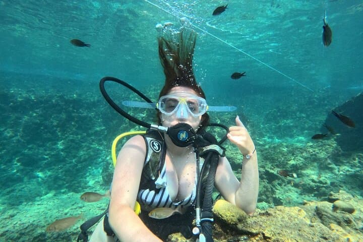 Beginner Scuba Diving in Alanya: Two Guided Dives, Lunch & Transfer photo 5