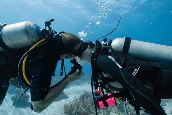 Beginner Scuba Diving in Alanya: Two Guided Dives, Lunch & Transfer photo 3