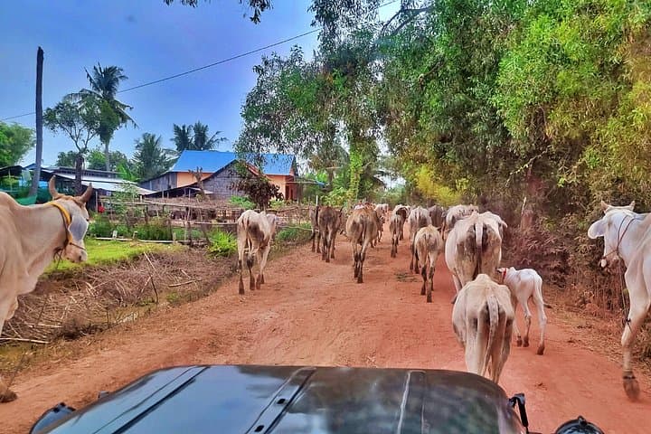 Kampong Phluk Jeep and Boat Tour: Siem Reap Floating Village Experience photo 4
