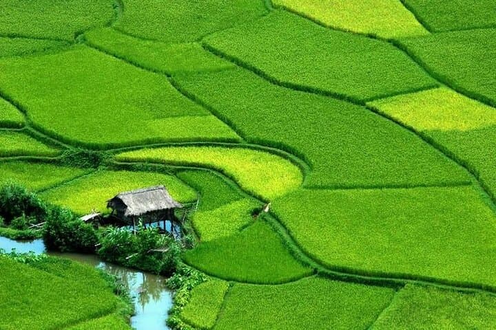 Mai Chau Valley Trekking: Day Hike Through Thai Villages & Rice Terraces photo 3