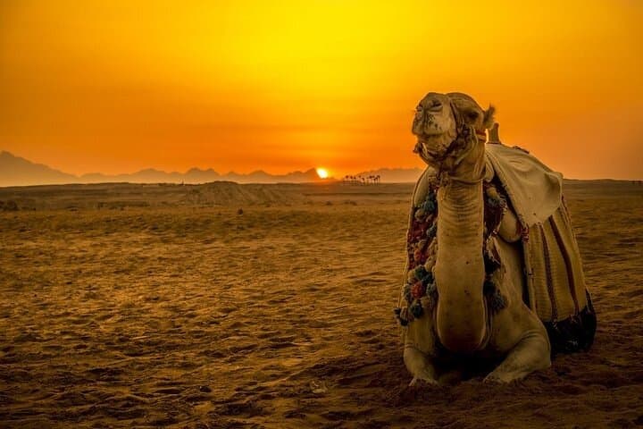 Hurghada Desert Stargazing Jeep Safari: Bedouin Camp, Camel Ride & BBQ Dinner photo 2