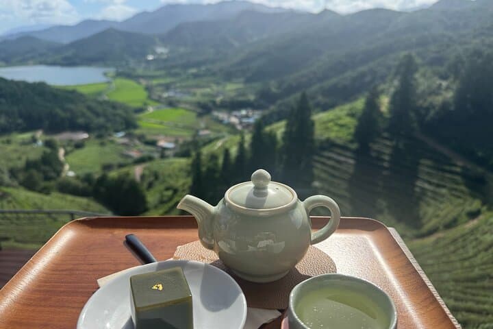 Boseong to Gangjin: Korean Green Tea Day Tour from Gwangju