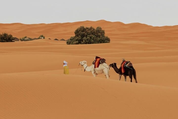 Marrakech to Merzouga: 3-Day Desert Adventure and Camel Ride photo 2