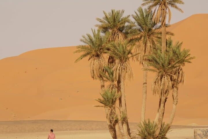 Marrakech to Merzouga: 3-Day Desert Adventure and Camel Ride photo 3