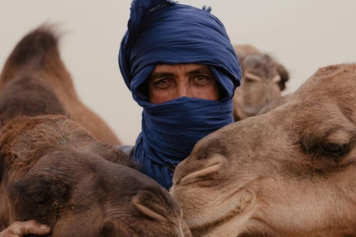 Marrakech to Merzouga: 3-Day Desert Adventure and Camel Ride photo 5