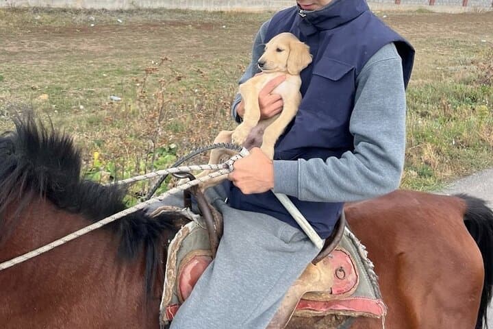 Kazakh Horseback Hunting & Yurt Dinner Near Nur-Sultan: Forest Ride with Hunting Dogs