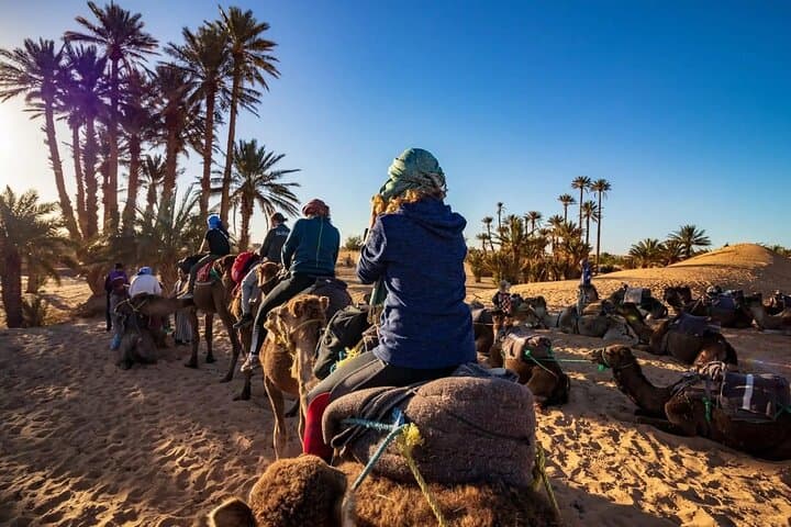 Camel Ride in Agadir: Beachside Sahara Adventure photo 2