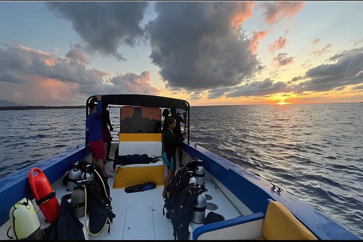Anguilla Night Wreck Dive: One-Tank Bioluminescent Shipwreck Experience