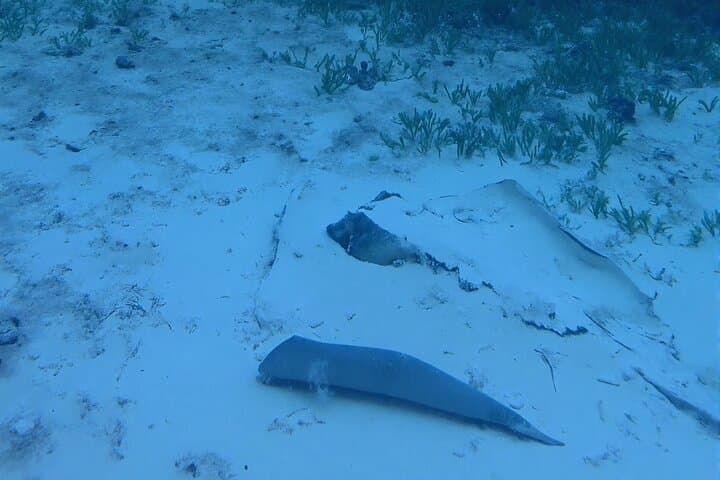 Anguilla Night Wreck Dive: One-Tank Bioluminescent Shipwreck Experience photo 3