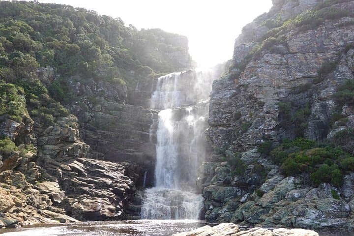 Garden Route 6-Day Surf & Adventure Tour from Jeffreys Bay photo 4