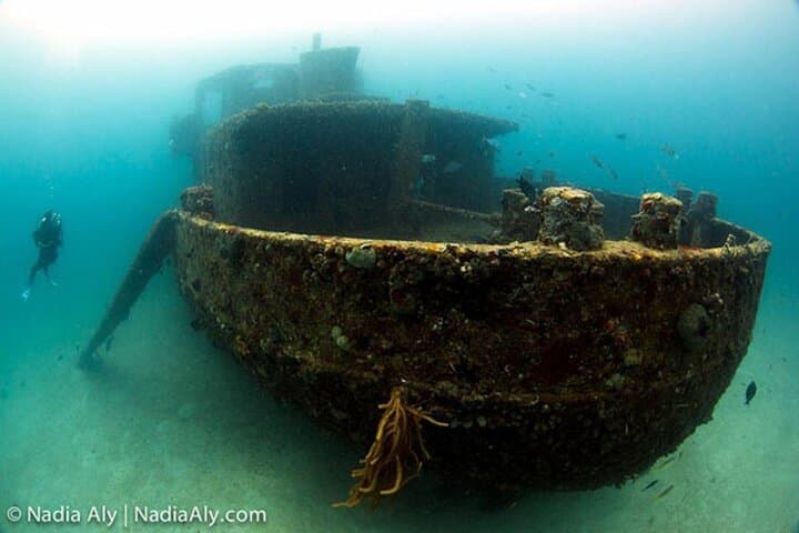 Anguilla Night Wreck Dive: One-Tank Bioluminescent Shipwreck Experience photo 6
