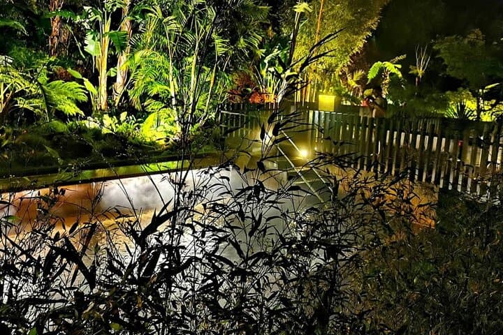 Furnas by Night: Soak in Poça da Dona Beija's Thermal Pools & Volcanic Tea photo 6