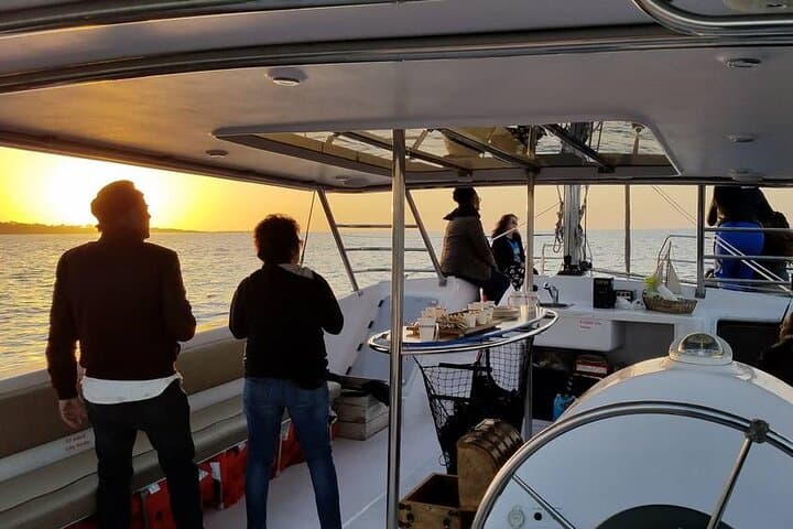 Sunset Sailing Cruise in Monterey Bay: 90-Minute Wildlife & Wind-Powered Sail photo 2