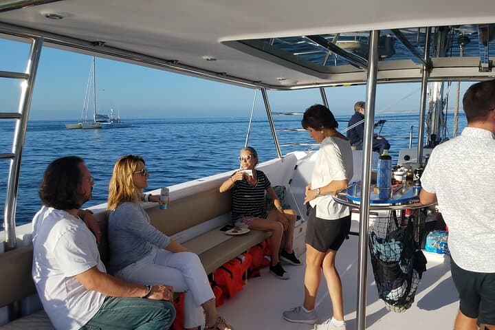 Sunset Sailing Cruise in Monterey Bay: 90-Minute Wildlife & Wind-Powered Sail photo 3