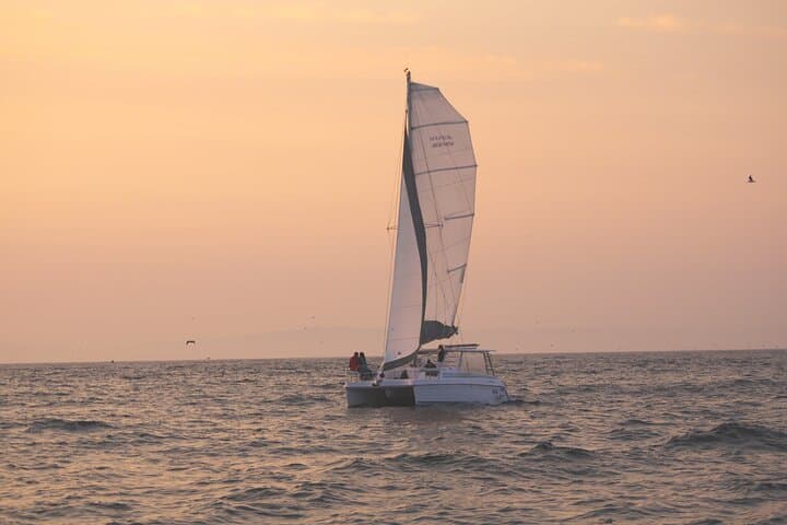 Sunset Sailing Cruise in Monterey Bay: 90-Minute Wildlife & Wind-Powered Sail photo 5