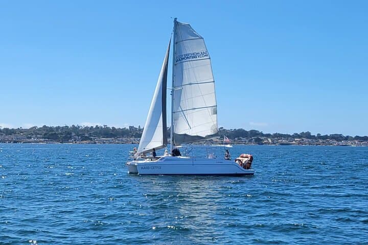 Sunset Sailing Cruise in Monterey Bay: 90-Minute Wildlife & Wind-Powered Sail photo 6