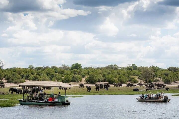 Chobe Day Trip: River Safari Cruise & Game Drive from Livingstone