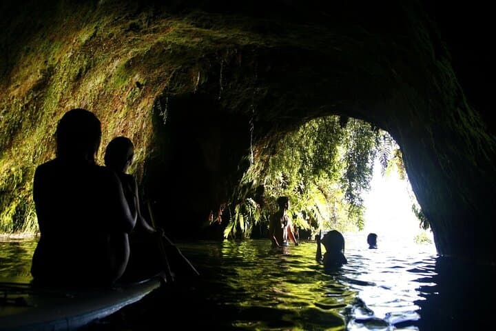 Rotorua Pure Cruise: Lake Rotoiti Glowworms, Tree Jumps & Hell's Gate Mud Baths photo 6
