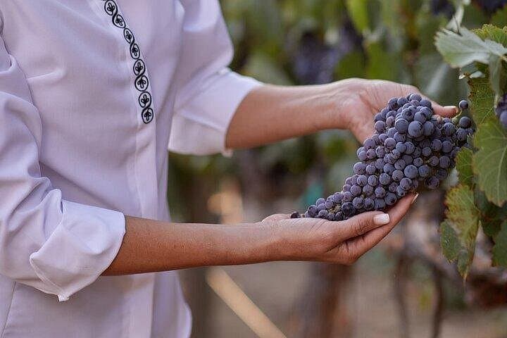 Europa Village Wine Tour Temecula: Winemaker-for-a-Day Blending & Food Pairing photo 5