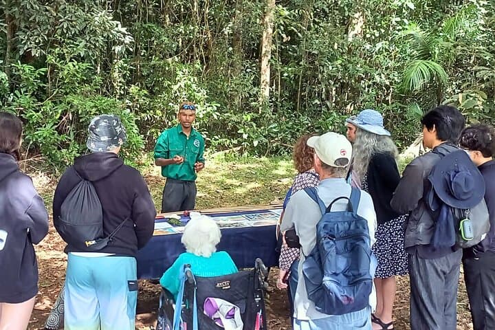 Cairns to Atherton Tablelands: Aboriginal Cultural Discovery Tour photo 3