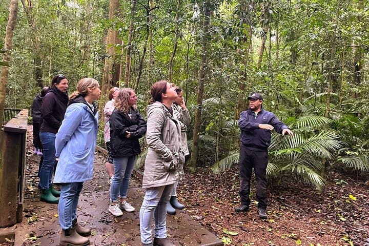 Cairns to Atherton Tablelands: Aboriginal Cultural Discovery Tour photo 5
