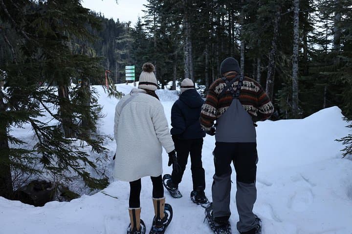 Evening Snowshoeing and Cross-Country Skiing at Whistler Olympic Park photo 4