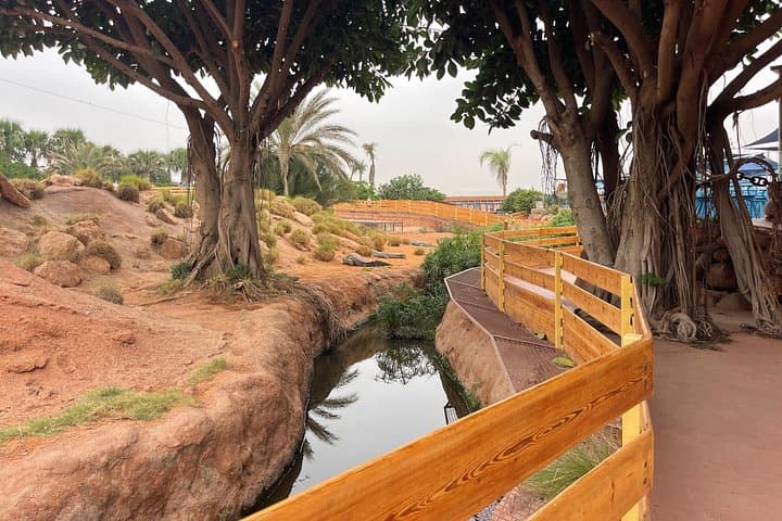 Agadir Crocoparc & Argan-Tree Goats Half-Day Tour — Crocodiles, Culture, and Photos photo 3