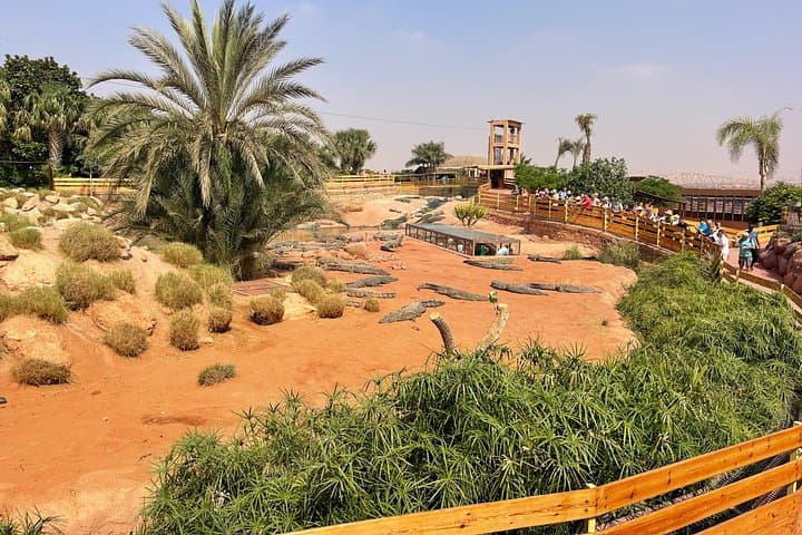 Agadir Crocoparc & Argan-Tree Goats Half-Day Tour — Crocodiles, Culture, and Photos photo 4