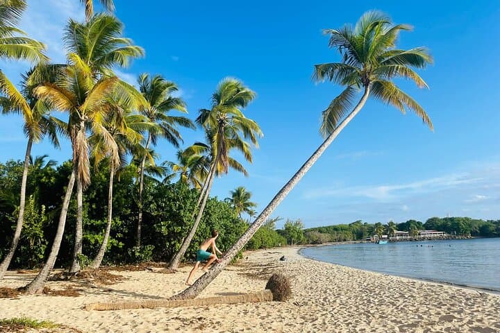 Southern Martinique Beaches Day Tour — Les Salines, Snorkel & Rum Tasting photo 2