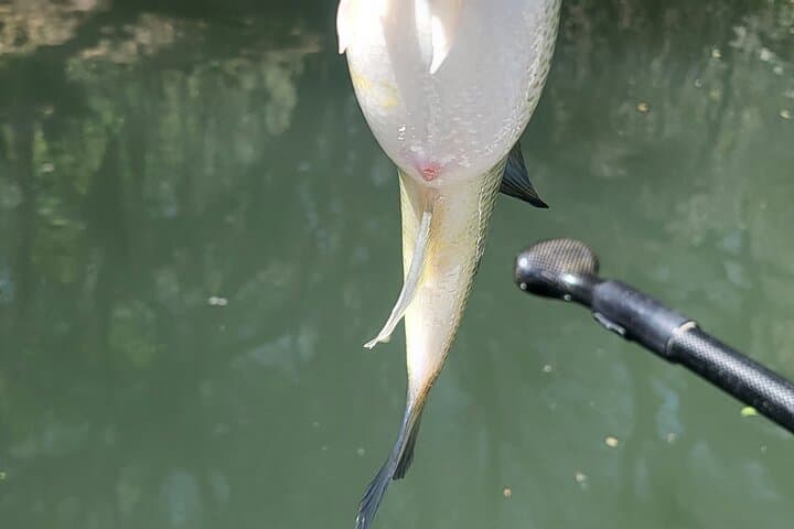 Full-Day Guided Kayak Fishing on the Verde River (Near Sedona) photo 4