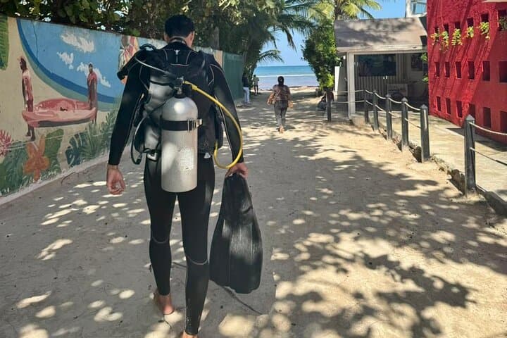 Punta Cana Discover Scuba Diving: Intro PADI Reef Experience photo 3