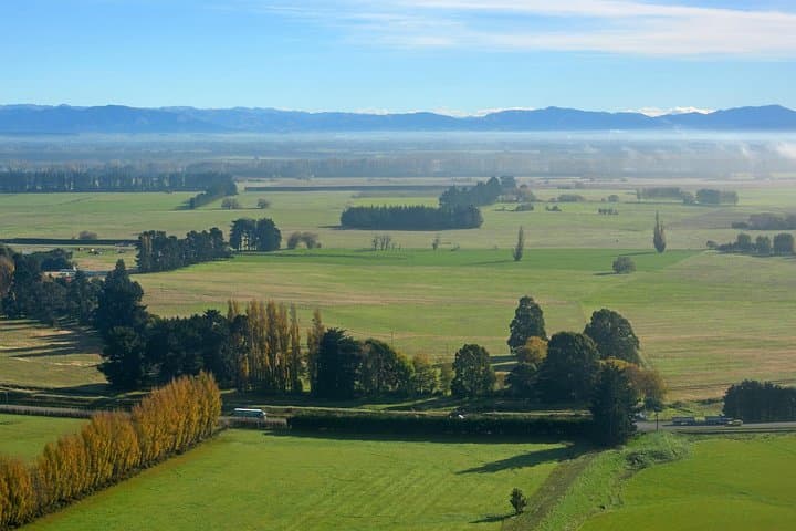 Tekapo to Christchurch Scenic Small-Group Transfer (3-Hour One-Way Tour) photo 6