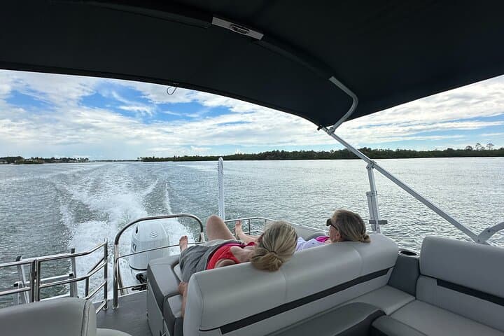 Private Naples Dolphin Cruise with Breakfast at Port Royal — Morning Wildlife & Luxury Pontoon photo 3