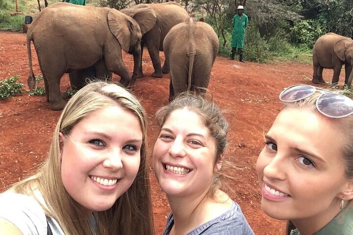 Inside Nairobi’s Wild Safari: Urban Wildlife, Elephant Orphans & Giraffe Encounters photo 5