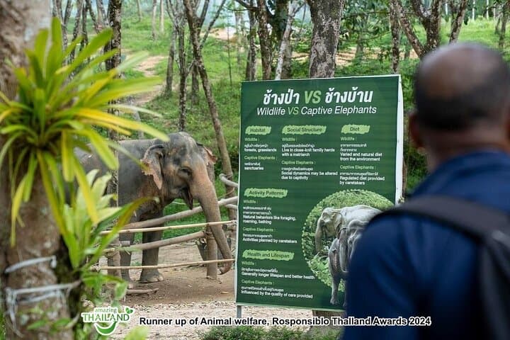 Khaolak Elephant Sanctuary Highlights: Ethical Elephant Encounters and Forage Tour photo 3