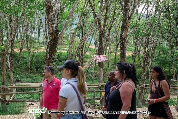 Khaolak Elephant Sanctuary Highlights: Ethical Elephant Encounters and Forage Tour photo 4