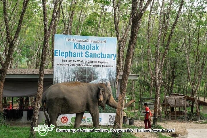 Khaolak Elephant Sanctuary Highlights: Ethical Elephant Encounters and Forage Tour photo 6