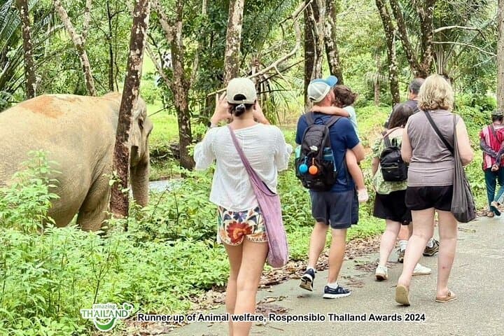 Khaolak Ethical Elephant Sanctuary and Jungle Zipline Adventure: Zip Canopy & Hands-Off Wildlife Experience photo 3