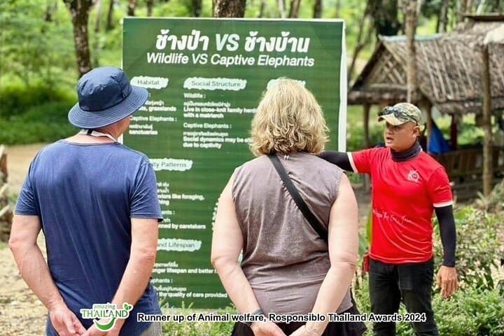 Khaolak Ethical Elephant Sanctuary and Jungle Zipline Adventure: Zip Canopy & Hands-Off Wildlife Experience photo 2