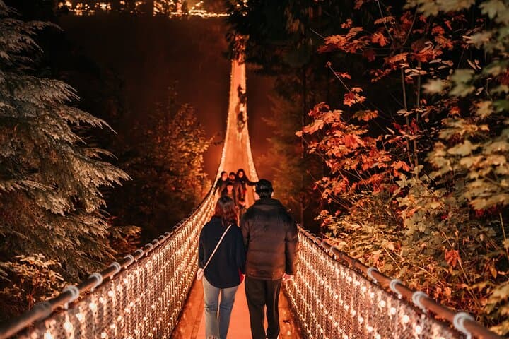 Vancouver After Dark: Capilano Canyon Fright Lights, Salmon Run and Skyline Lookouts