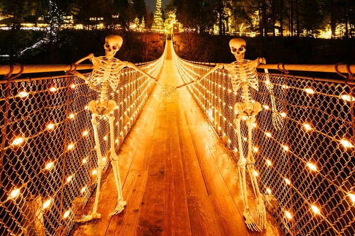 Capilano Suspension Bridge, Lynn Canyon & Stanley Park: North Vancouver Highlights Tour photo 3