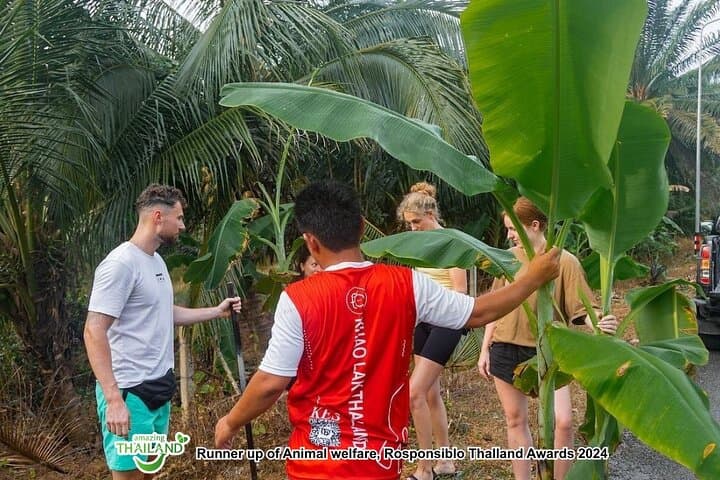 Ethical Elephant Sanctuary Day Trip in Khao Lak: Waterfalls, Cooking & Conservation photo 6