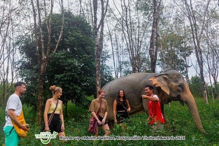 Ethical Elephant Sanctuary Day Trip in Khao Lak: Waterfalls, Cooking & Conservation