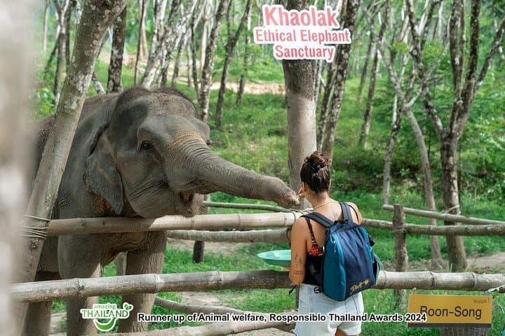 Khao Lak Ethical Elephant Sanctuary Conservation Experience — Observation-Only Visit