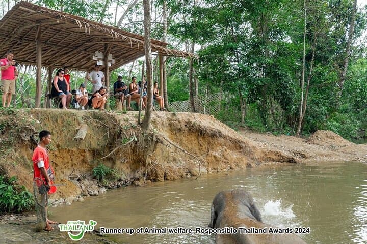 Khao Lak Elephant Sanctuary Tour: Waterfall Swim, Herbal Ball Workshop & Lunch photo 2