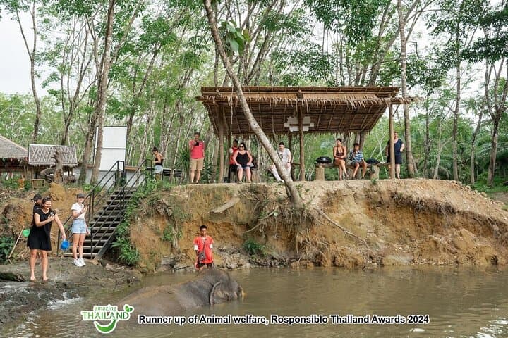 Khao Lak Elephant Sanctuary Tour: Waterfall Swim, Herbal Ball Workshop & Lunch photo 3