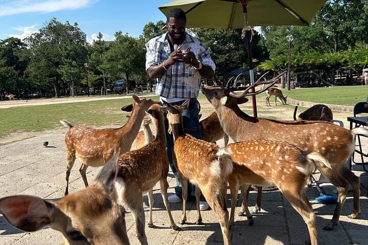 Osaka and Nara Private Car Tour — Full-Day English-Guided Cultural Highlights photo 2